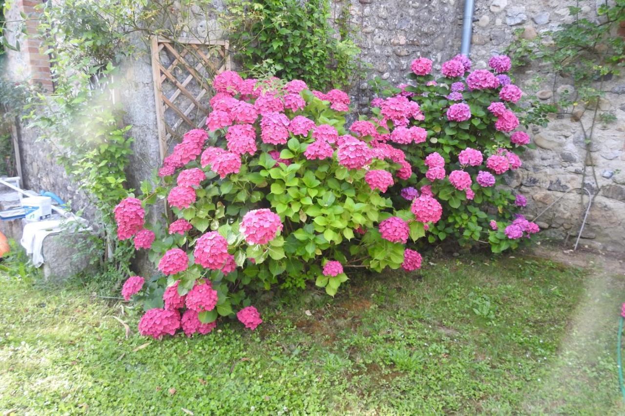 Gite Mon Paradis 瓦隆蓬达克 外观 照片