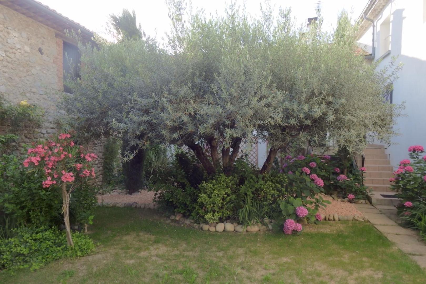 Gite Mon Paradis 瓦隆蓬达克 外观 照片