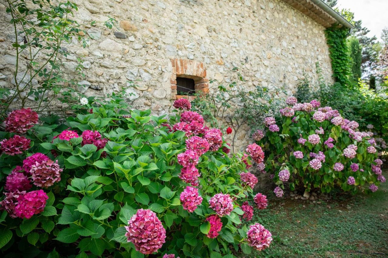 Gite Mon Paradis 瓦隆蓬达克 外观 照片